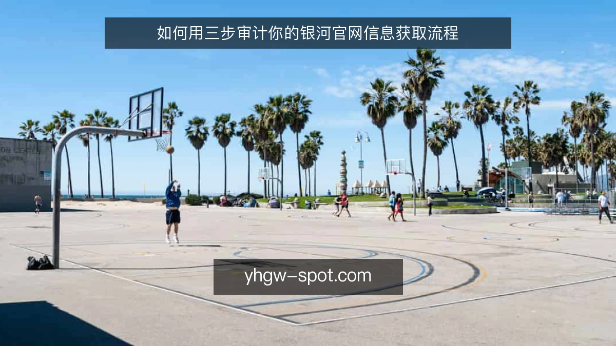 如何用三步审计你的银河官网信息获取流程