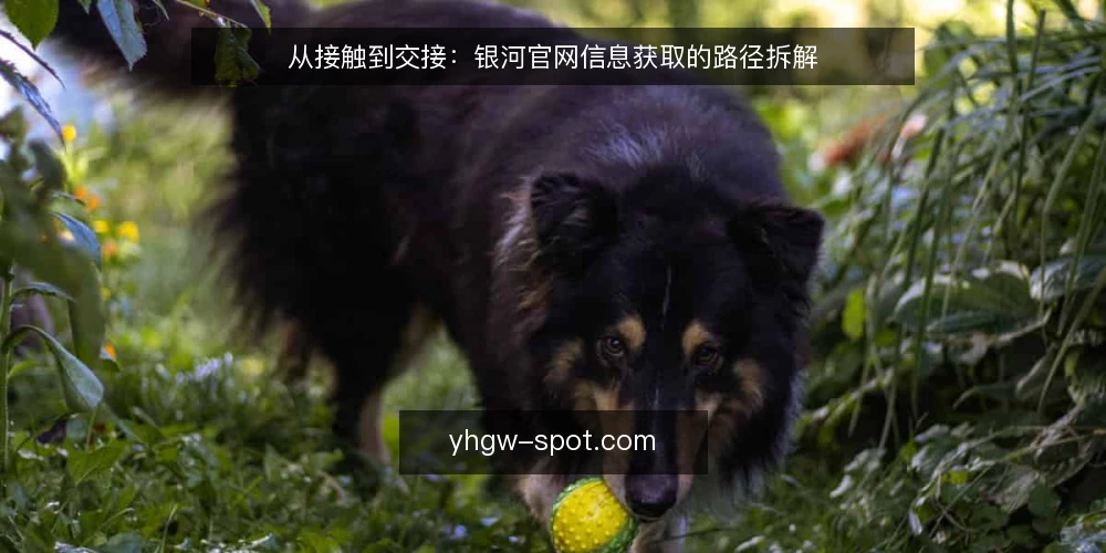 从接触到交接:银河官网信息获取的路径拆解 — 先界定需求边界 配图